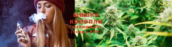 ГАЛЛЮЦИНОГЕННЫЕ ГРИБЫ Магас