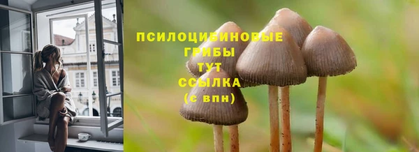 прущие крисы Магадан