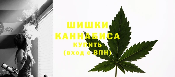 ПСИЛОЦИБИНОВЫЕ ГРИБЫ Майский
