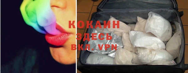 ГАЛЛЮЦИНОГЕННЫЕ ГРИБЫ Магас