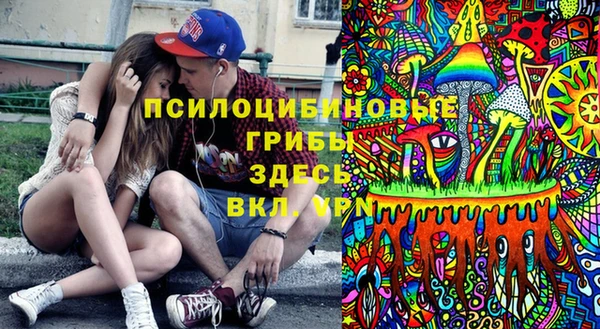 ГАЛЛЮЦИНОГЕННЫЕ ГРИБЫ Магас